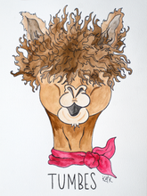 Load image into Gallery viewer, watercolor alpaca posh alpaca stylish alpaca alpaca art
