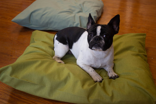 natural dog pillow